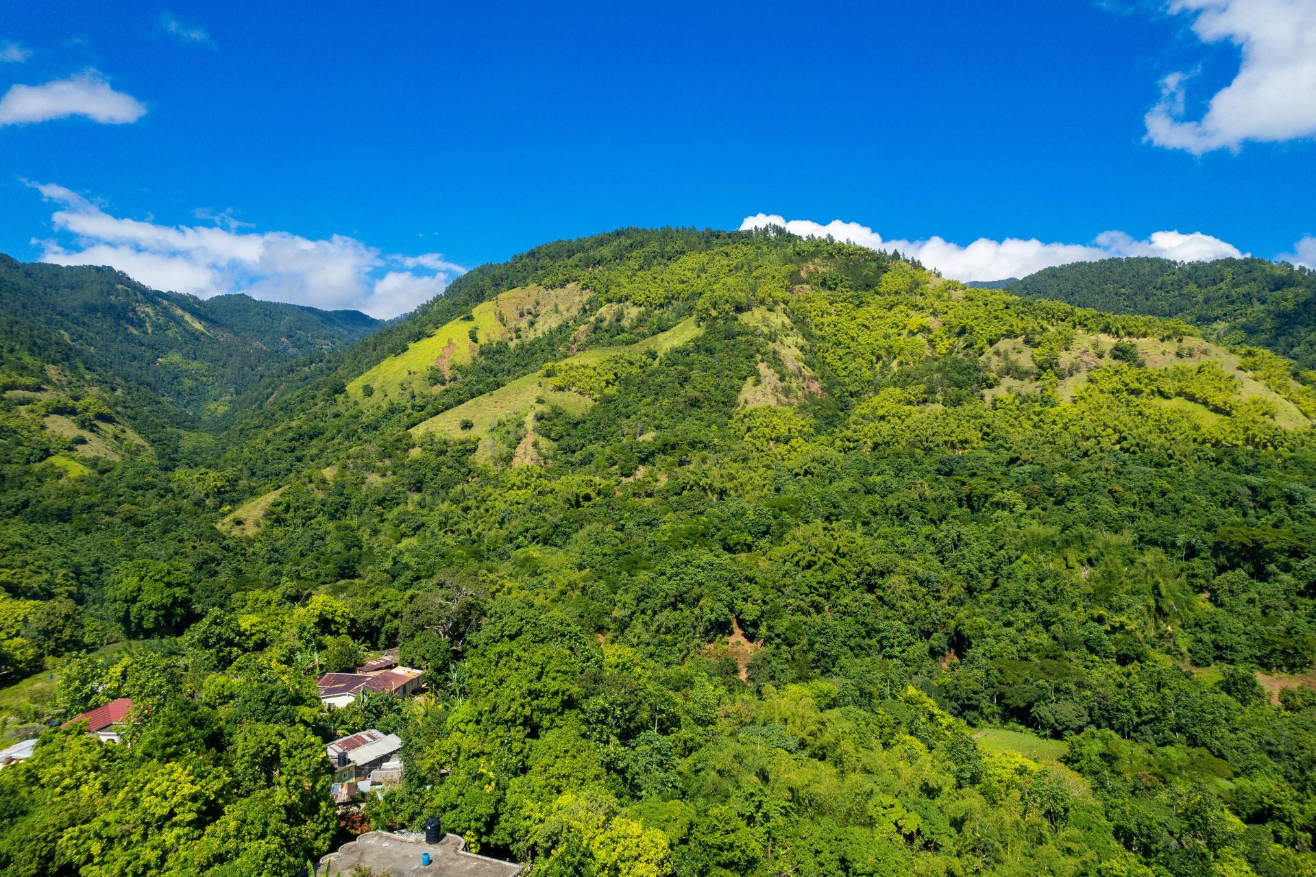 Pangi Valley